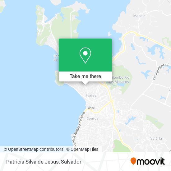 Patricia Silva de Jesus map