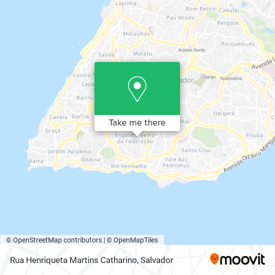 Rua Henriqueta Martins Catharino map