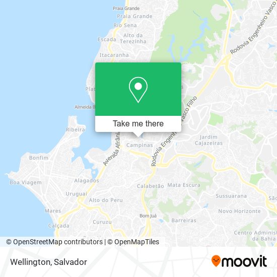 Wellington map