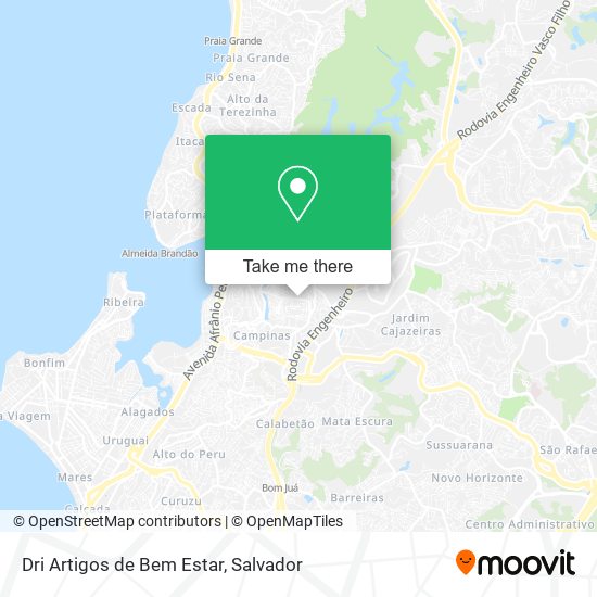 Dri Artigos de Bem Estar map