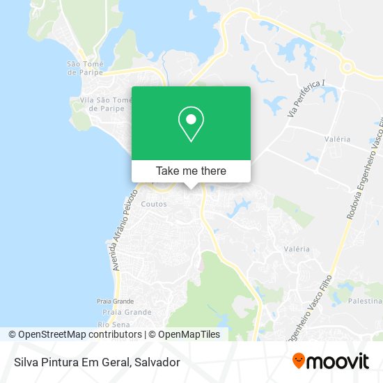 Mapa Silva Pintura Em Geral