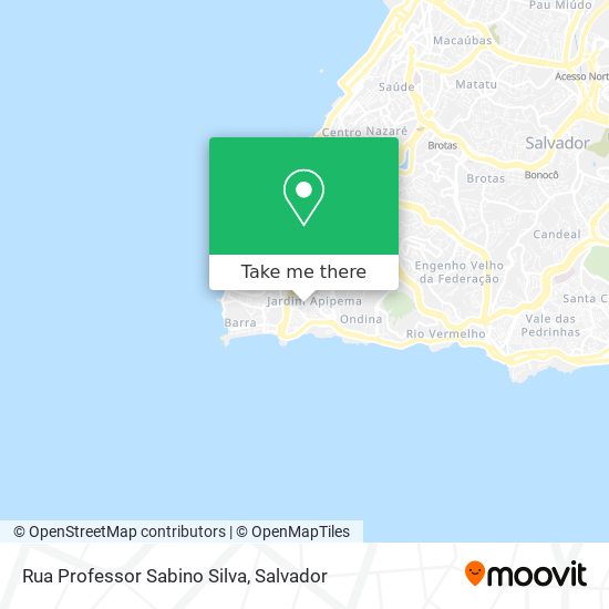 Rua Professor Sabino Silva map