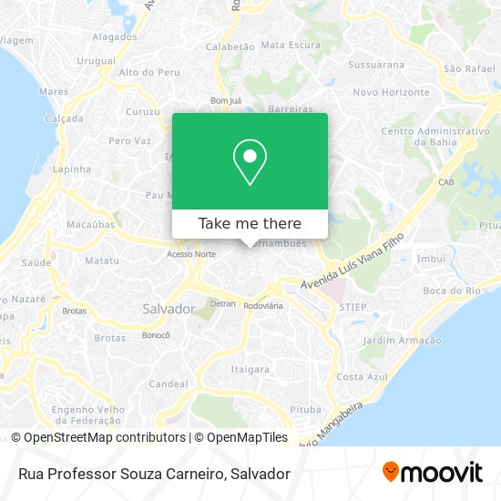 Mapa Rua Professor Souza Carneiro