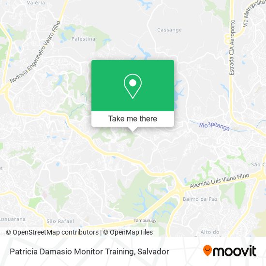 Mapa Patricia Damasio Monitor Training