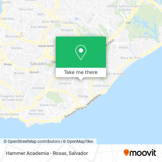 Mapa Hammer Academia - Rosas