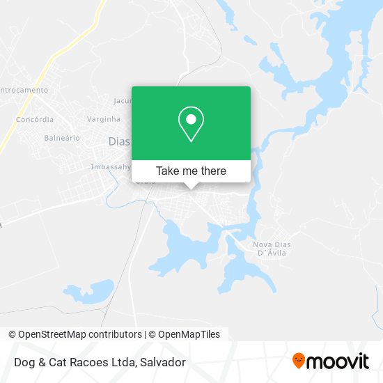 Dog & Cat Racoes Ltda map