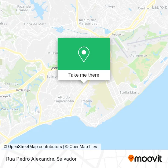 Rua Pedro Alexandre map