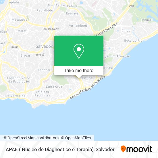 APAE ( Nucleo de Diagnostico e Terapia) map