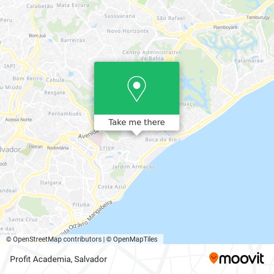 Mapa Profit Academia