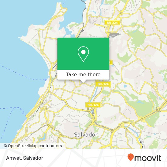 Amvet map