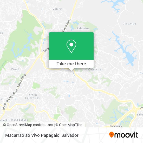 Mapa Macarrão ao Vivo Papagaio