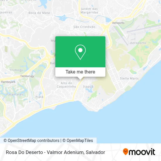 Rosa Do Deserto - Valmor Adenium map
