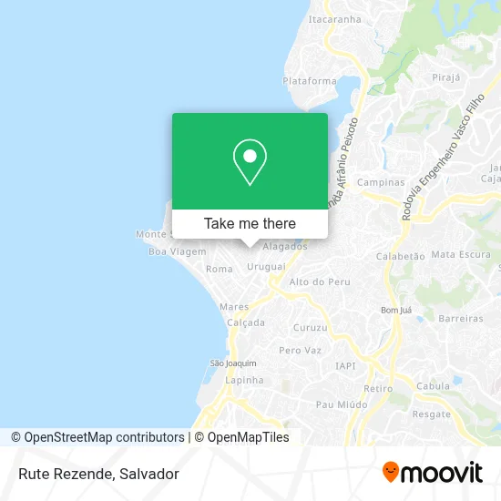 Rute Rezende map