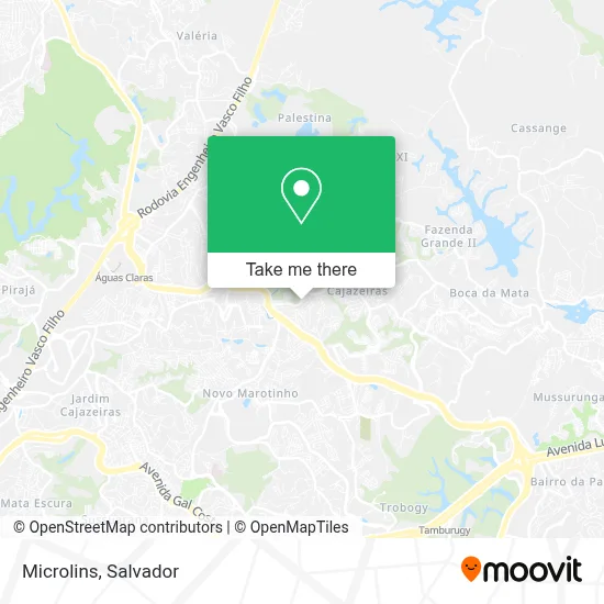 Microlins map
