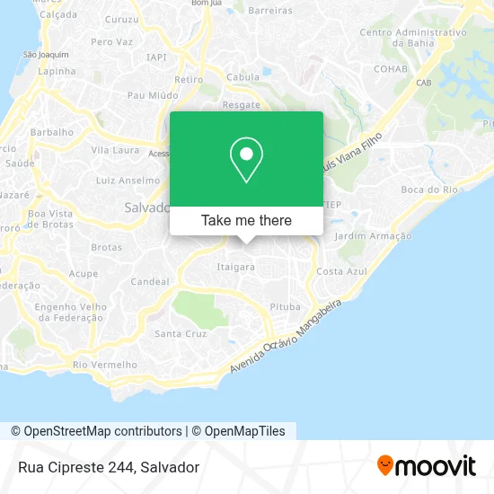 Rua Cipreste 244 map