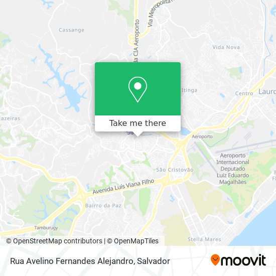 Rua Avelino Fernandes Alejandro map