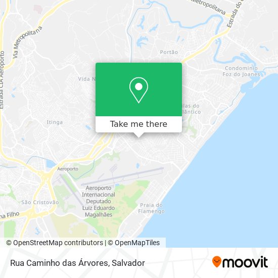 Rua Caminho das Árvores map