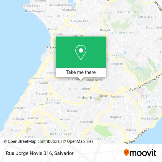 Rua Jorge Novis 316 map