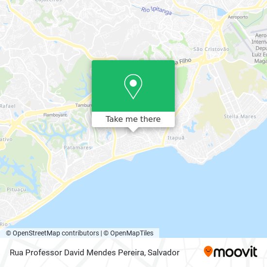 Rua Professor David Mendes Pereira map