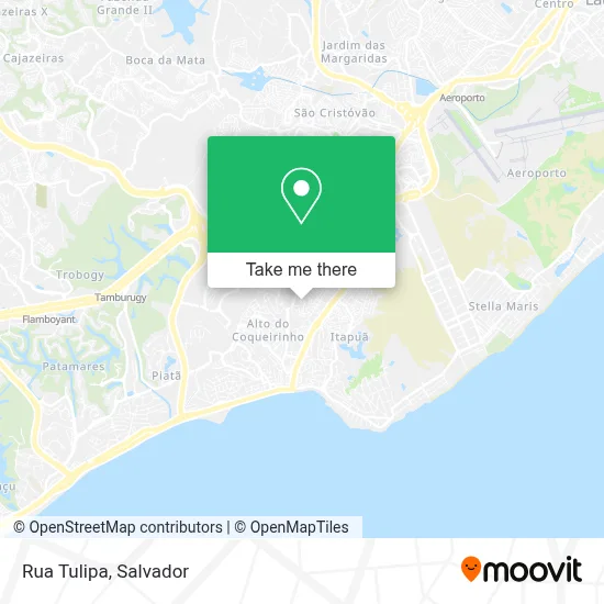 Rua Tulipa map