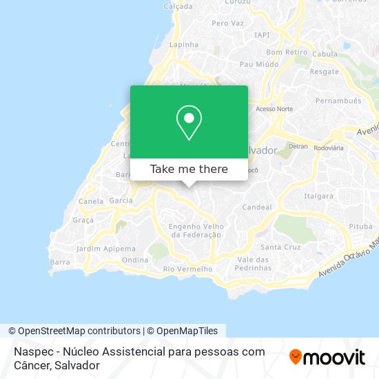 Mapa Naspec - Núcleo Assistencial para pessoas com Câncer