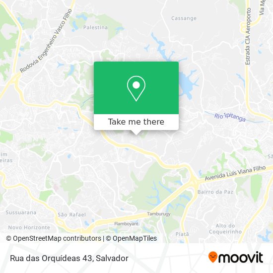 Rua das Orquídeas 43 map