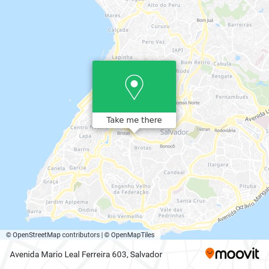 Avenida Mario Leal Ferreira 603 map