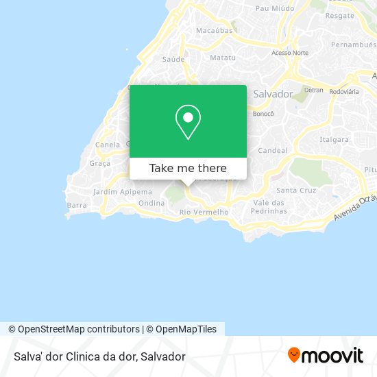 Salva' dor Clinica da dor map