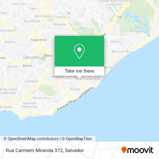 Rua Carmem Miranda 372 map