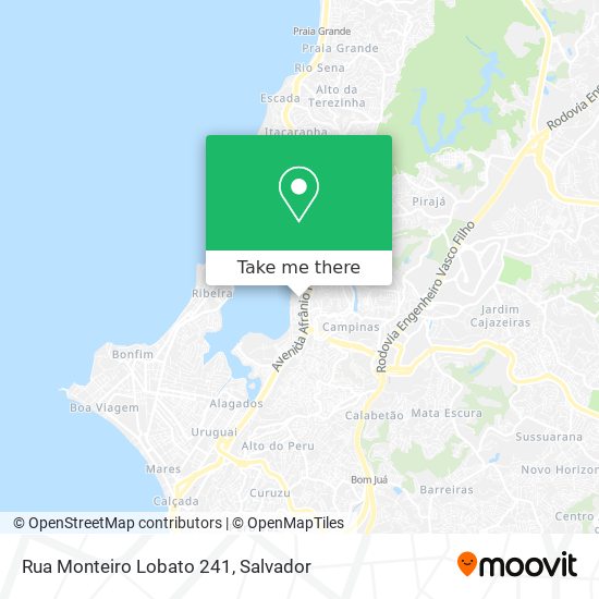 Rua Monteiro Lobato 241 map