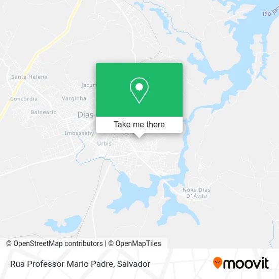 Rua Professor Mario Padre map