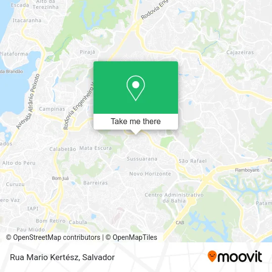 Rua Mario Kertész map
