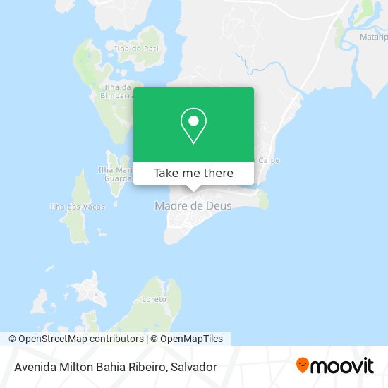 Avenida Milton Bahia Ribeiro map