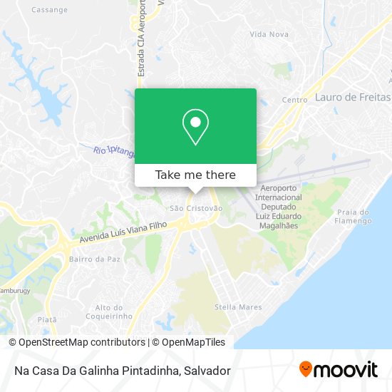 Na Casa Da Galinha Pintadinha map