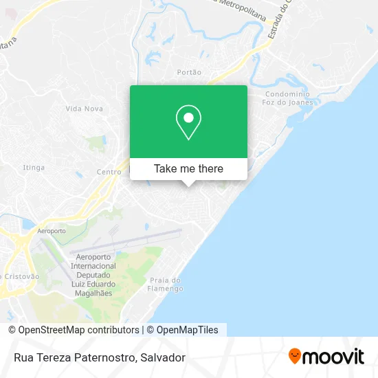 Rua Tereza Paternostro map