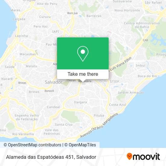 Alameda das Espatódeas 451 map