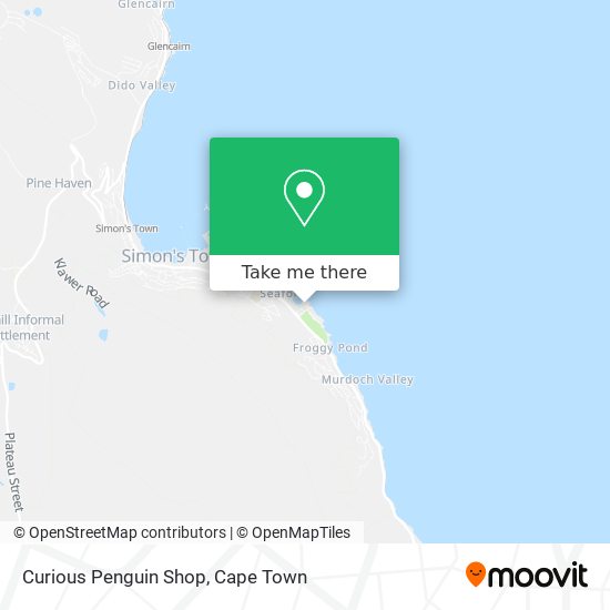 Curious Penguin Shop map