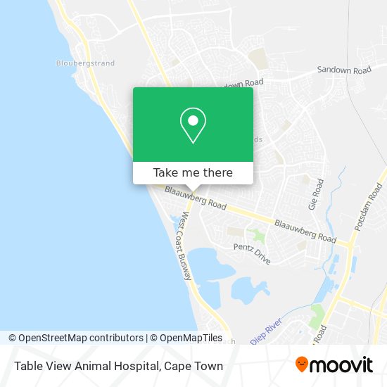 Table View Animal Hospital map