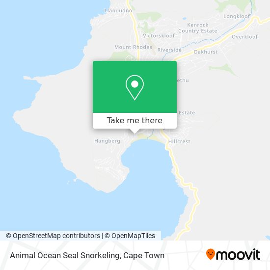 Animal Ocean Seal Snorkeling map
