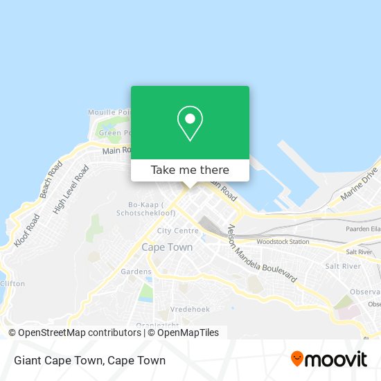 Giant Cape Town map