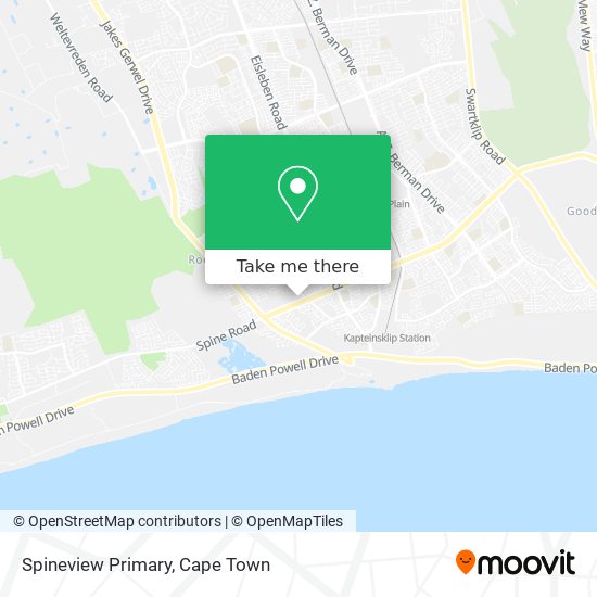 Spineview Primary map