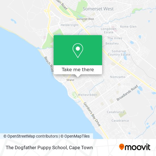 The Dogfather Puppy School map