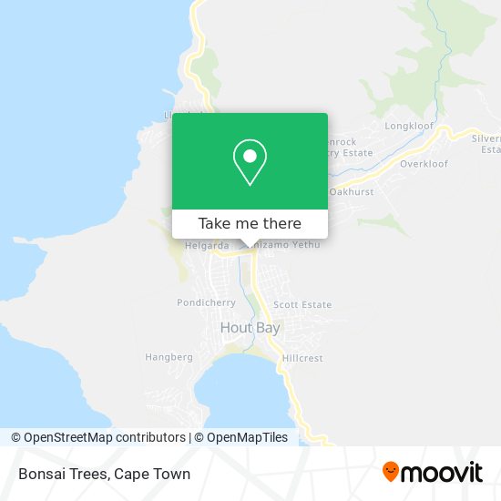 Bonsai Trees map