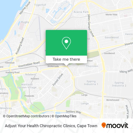 Adjust Your Health Chiropractic Clinics map