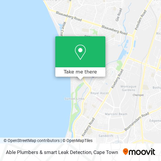 Able Plumbers & smart Leak Detection map