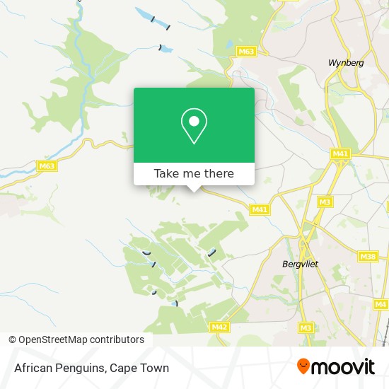 African Penguins map