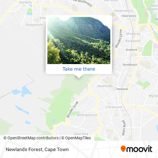 Newlands Forest map