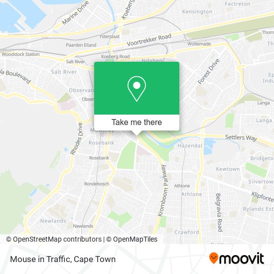 Mouse in Traffic map