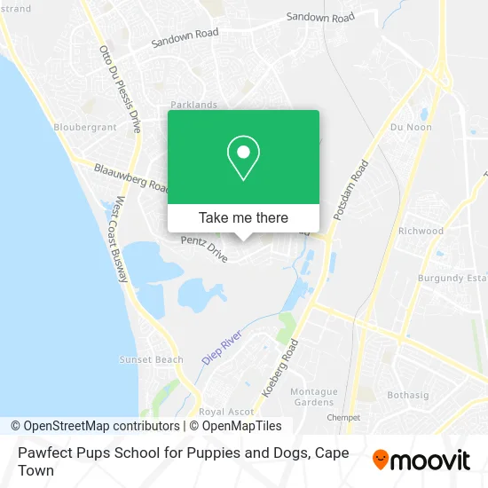 Pawfect Pups School for Puppies and Dogs map