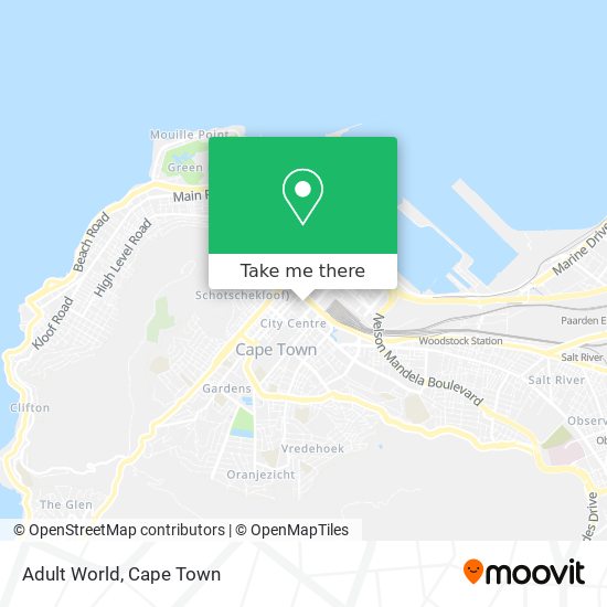 Adult World map